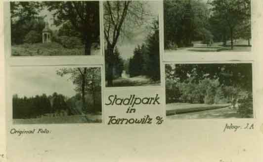 Click to view full size