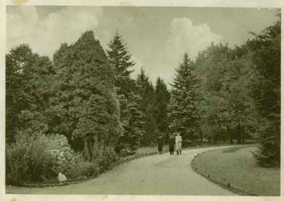 Click to view full size