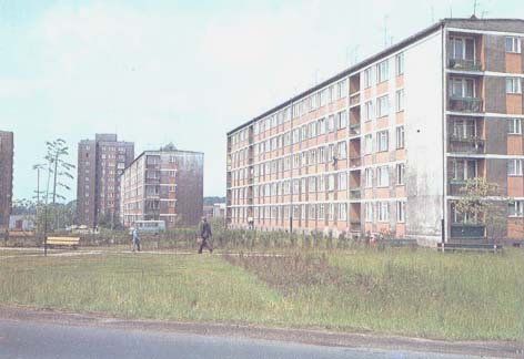 Click to view full size