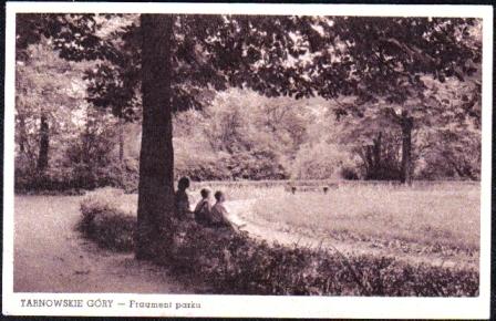 Click to view full size